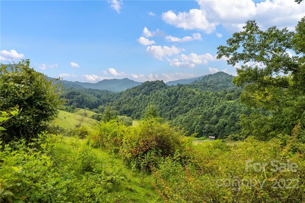 3955 Little Pine Road Marshall NC 28753