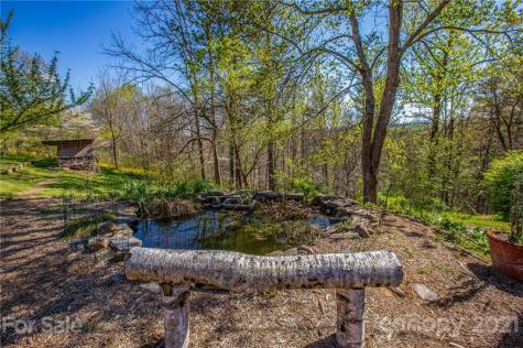 796 Blowhole Road Marshall NC 28753