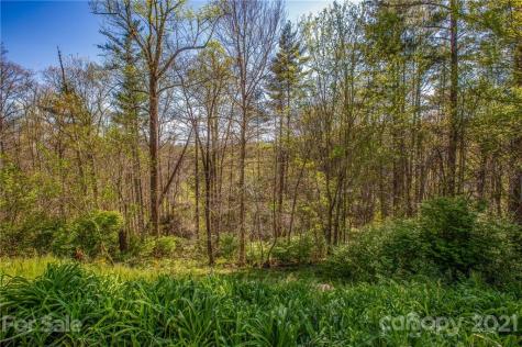 796 Blowhole Road Marshall NC 28753