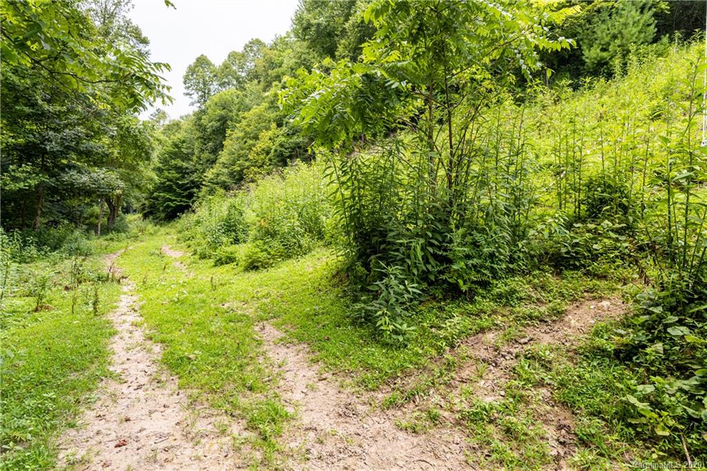675 Fisher Branch Road Marshall NC 28753