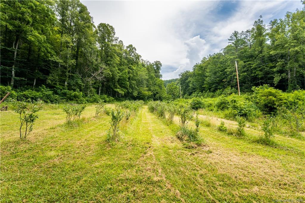 675 Fisher Branch Road Marshall NC 28753