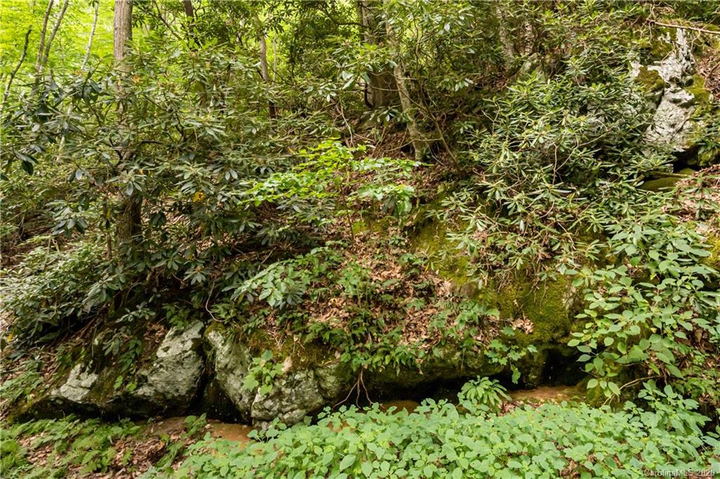 675 Fisher Branch Road Marshall NC 28753