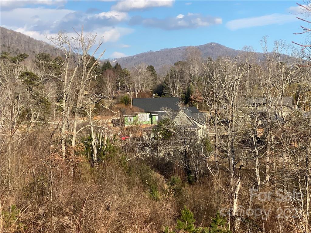17 Versailles Lane Asheville NC 28804