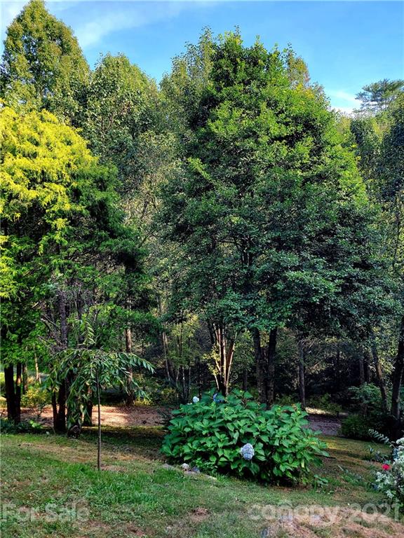 195 Higgins Lane Marshall NC 28753