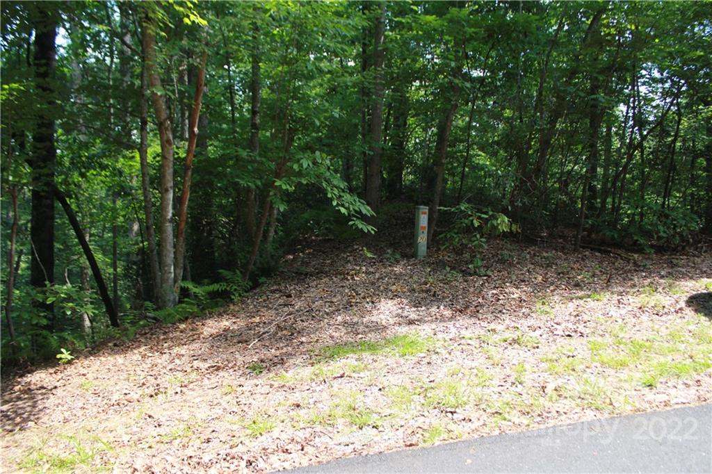 000 Justice Drive Lake Lure NC 28746