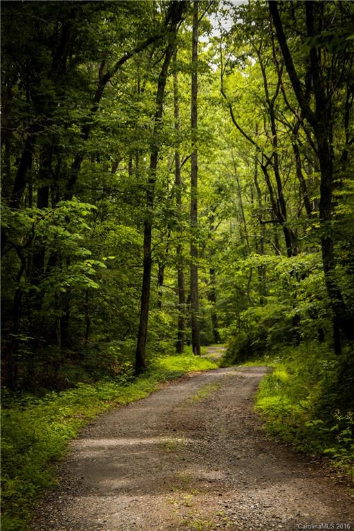23 Mountain Tea Lane Alexander NC 28701