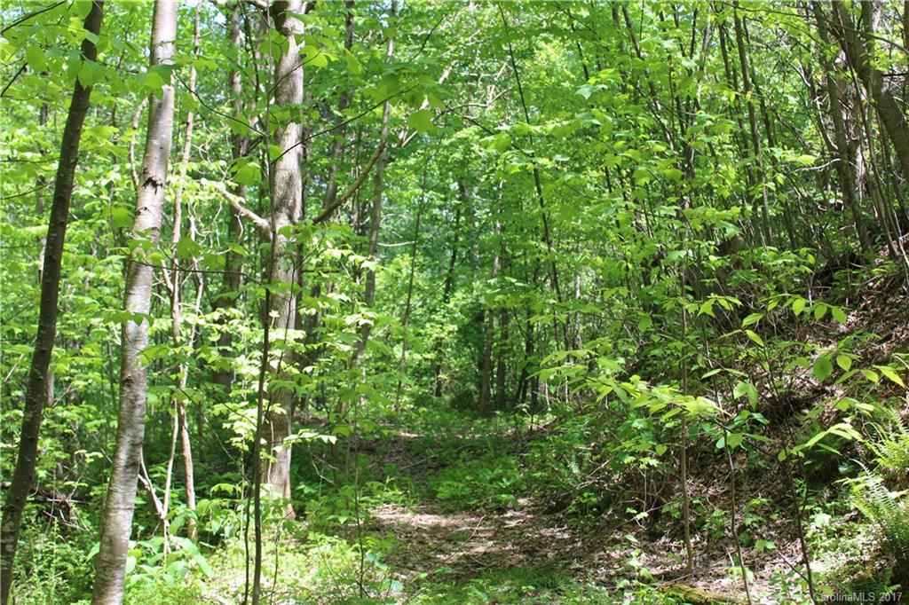 15 Cody Brian Drive Leicester NC 28748