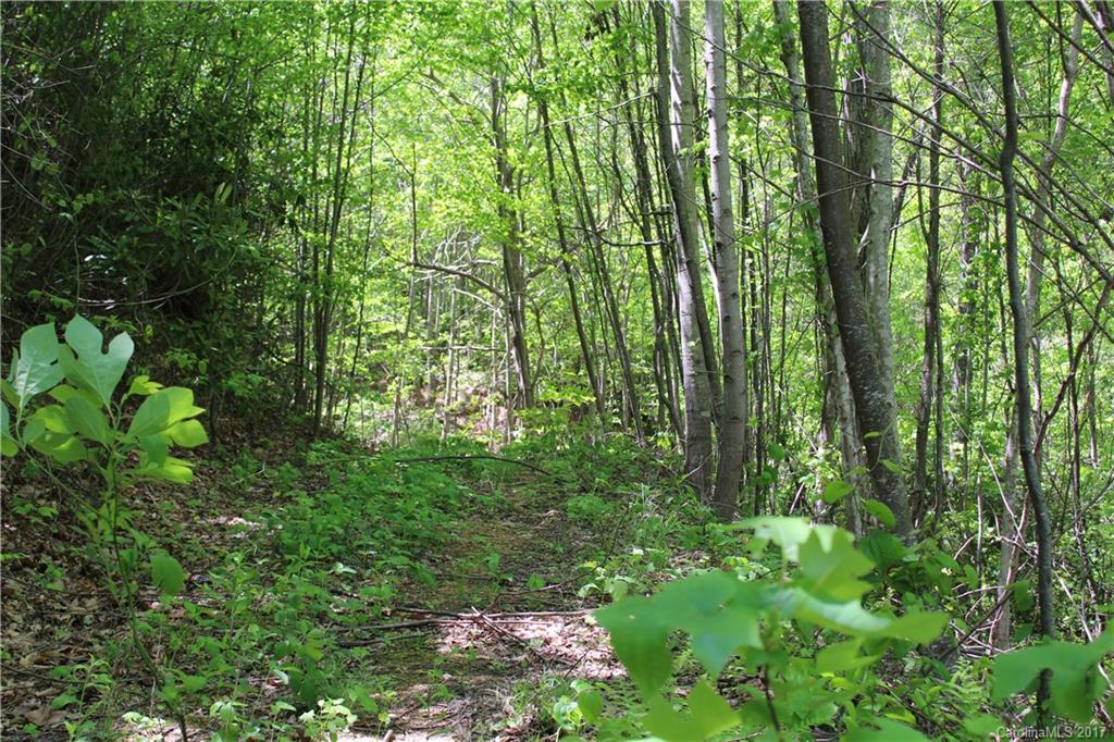 15 Cody Brian Drive Leicester NC 28748