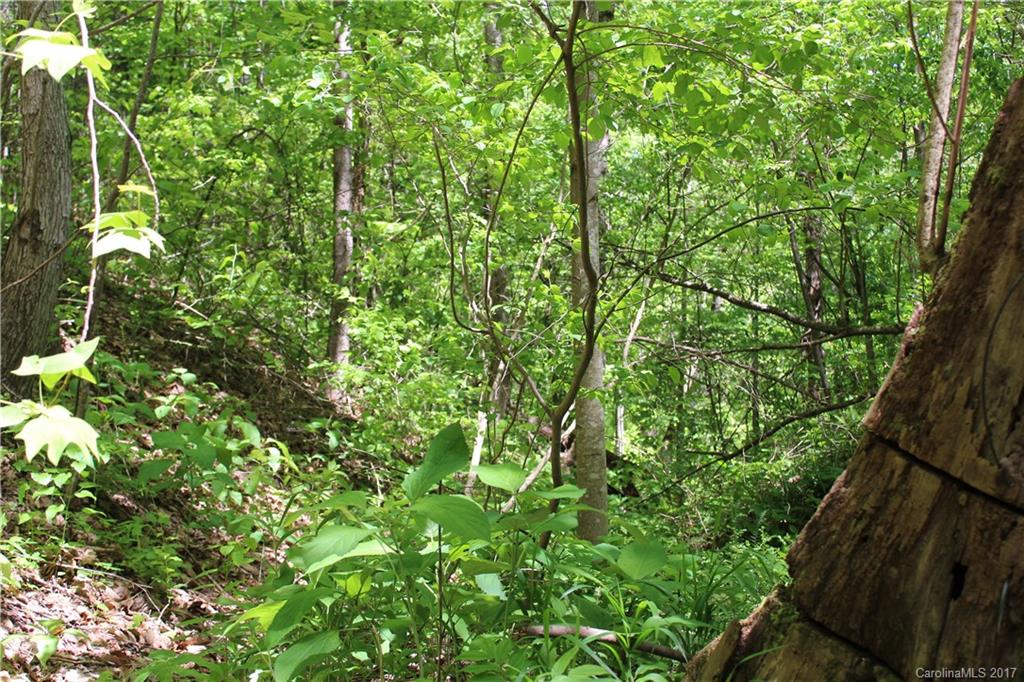 15 Cody Brian Drive Leicester NC 28748