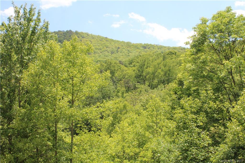 15 Cody Brian Drive Leicester NC 28748