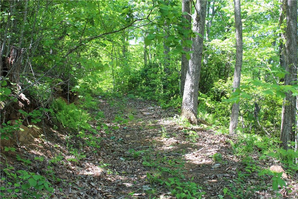 15 Cody Brian Drive Leicester NC 28748