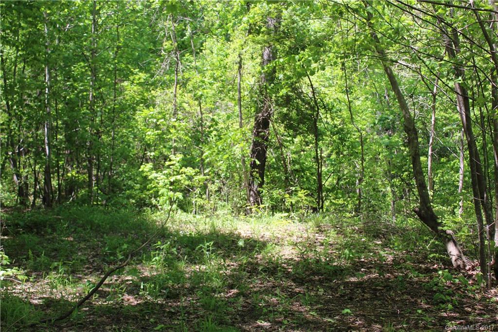 15 Cody Brian Drive Leicester NC 28748