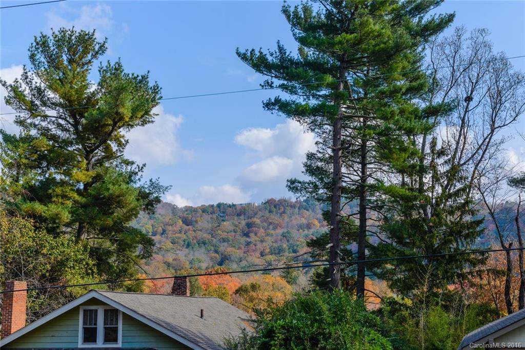 60 Henrietta Street Asheville NC 28801