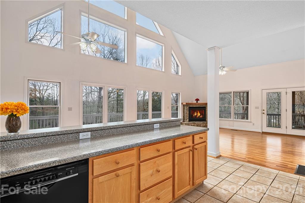 206 Blue Ridge Vista Asheville NC 28805