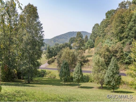 10 Sweet Brook Drive Weaverville NC 28787