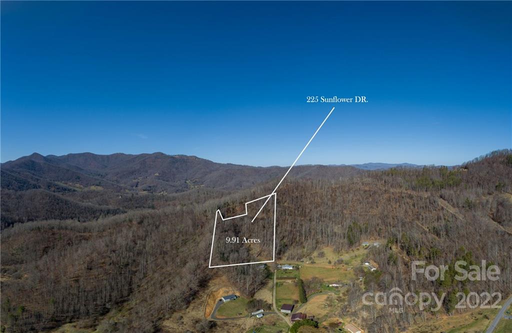225 Sunflower Drive Burnsville NC 28714