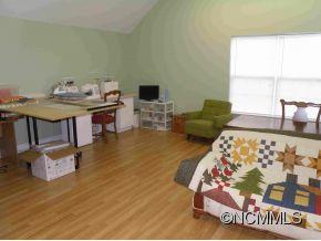 14 Wills Lane Candler NC 28715