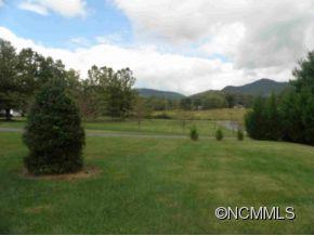 14 Wills Lane Candler NC 28715