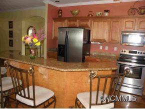 14 Wills Lane Candler NC 28715