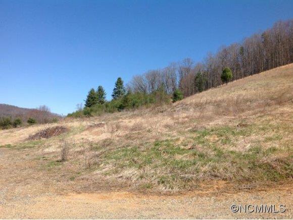 16 Twin Bridges Drive Leicester NC 28748
