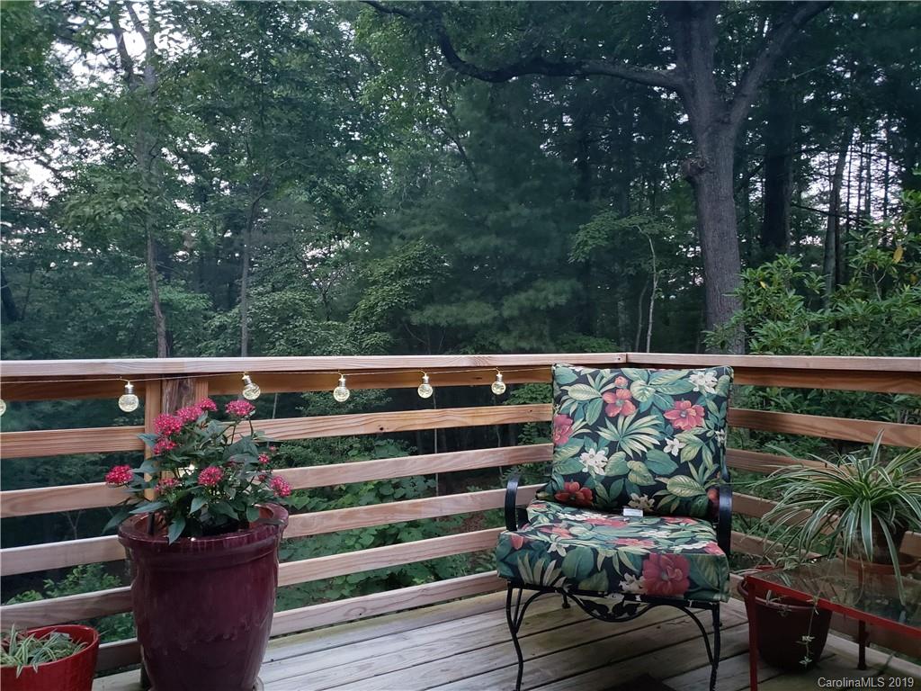 66 Hampden Road Asheville NC 28805