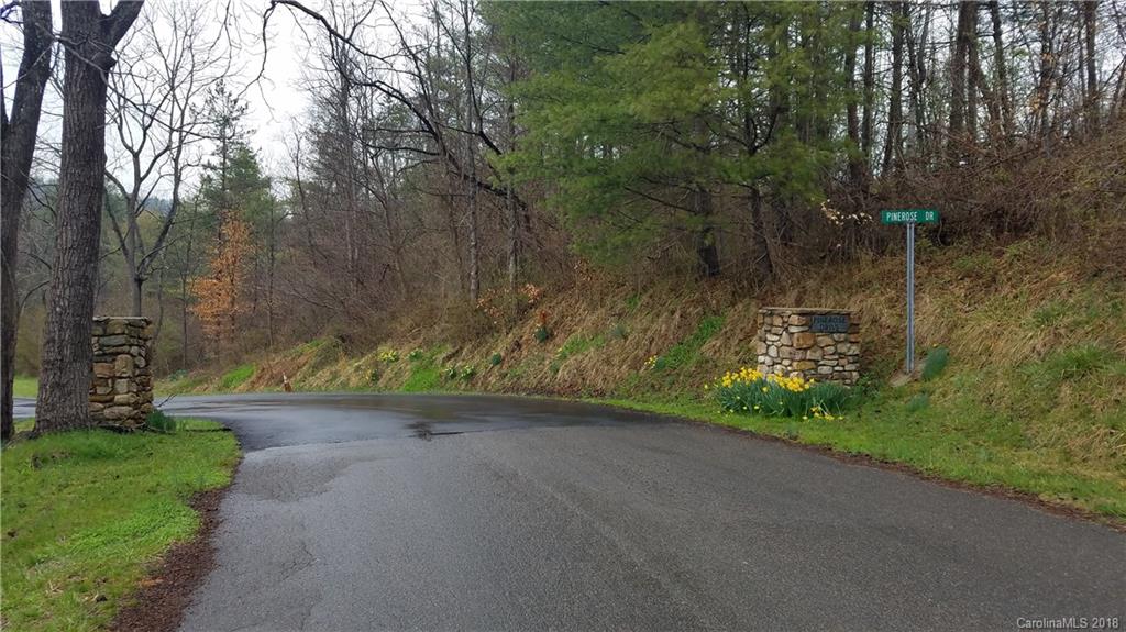 67 Pinerose Drive Weaverville NC 28787