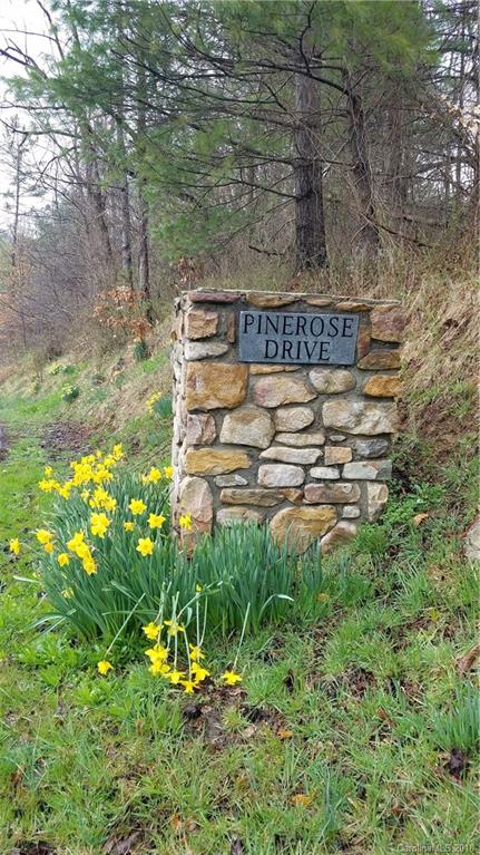 67 Pinerose Drive Weaverville NC 28787