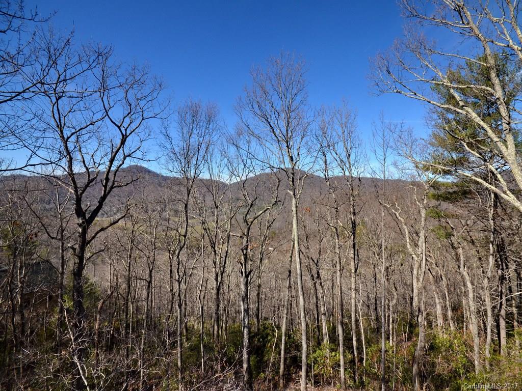 320 Mountain Laurel Asheville NC 28805