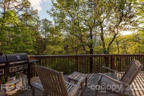 36 Lynx Drive Black Mountain NC 28711