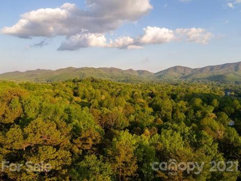36 Lynx Drive Black Mountain NC 28711