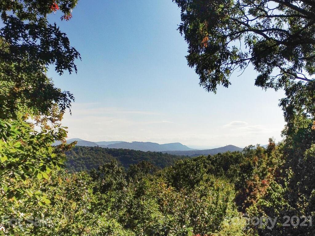 116 Hoot Owl Hollow Fairview NC 28730