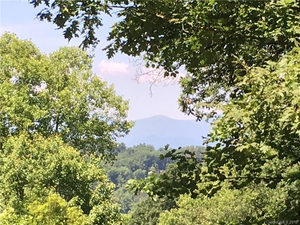604 Hidden Springs Drive Asheville NC 28804