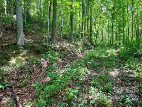 00 Reo Drive Waynesville NC 28785