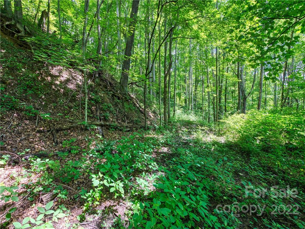 00 Reo Drive Waynesville NC 28785