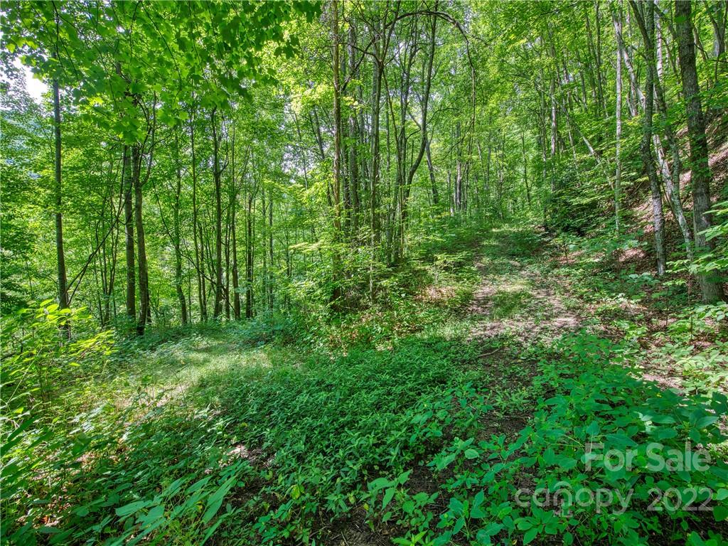 00 Reo Drive Waynesville NC 28785