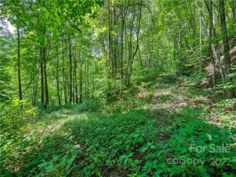 00 Reo Drive Waynesville NC 28785