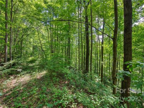 00 Reo Drive Waynesville NC 28785