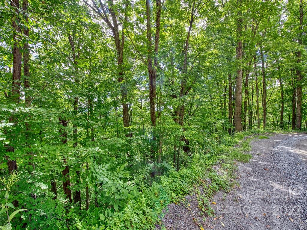 00 Reo Drive Waynesville NC 28785