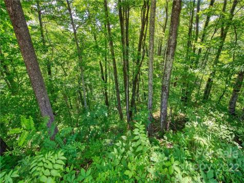 00 Reo Drive Waynesville NC 28785