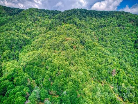 00 Reo Drive Waynesville NC 28785