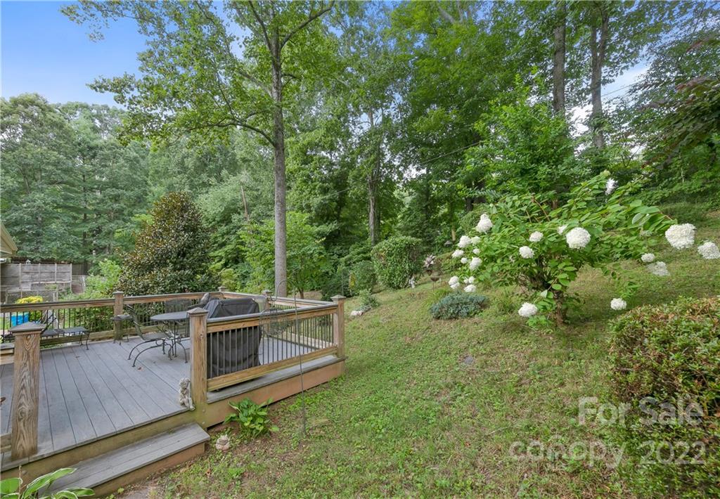 8 Auburndale Drive Asheville NC 28806
