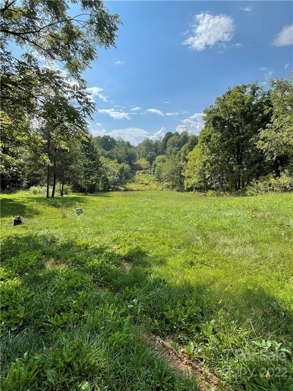 43 M L Reagan Drive Candler NC 28715