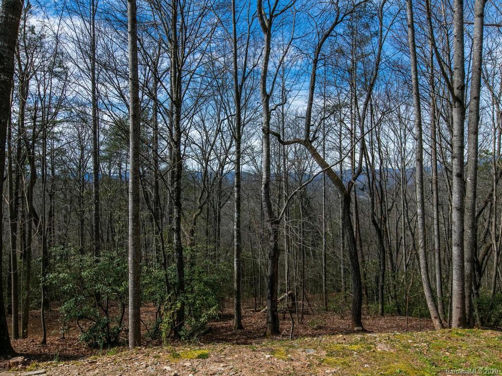 489 Big Bear Boulevard Old Fort NC 28762