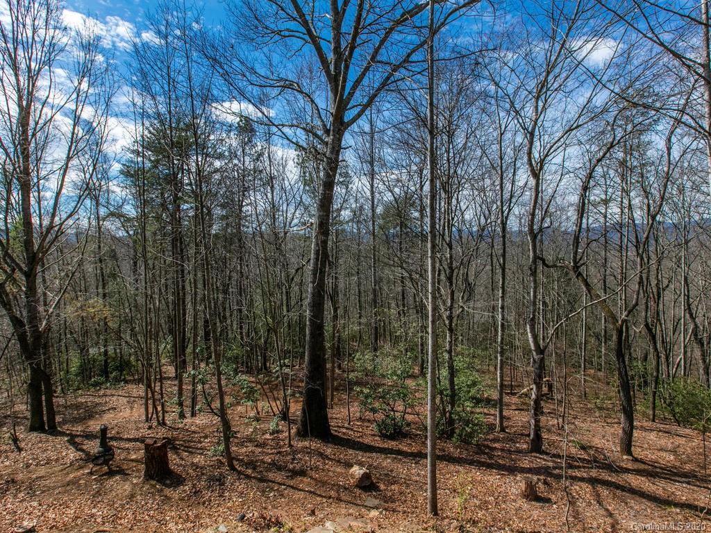 489 Big Bear Boulevard Old Fort NC 28762