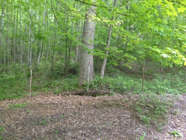 1155 N Fork Road Barnardsville NC 28709