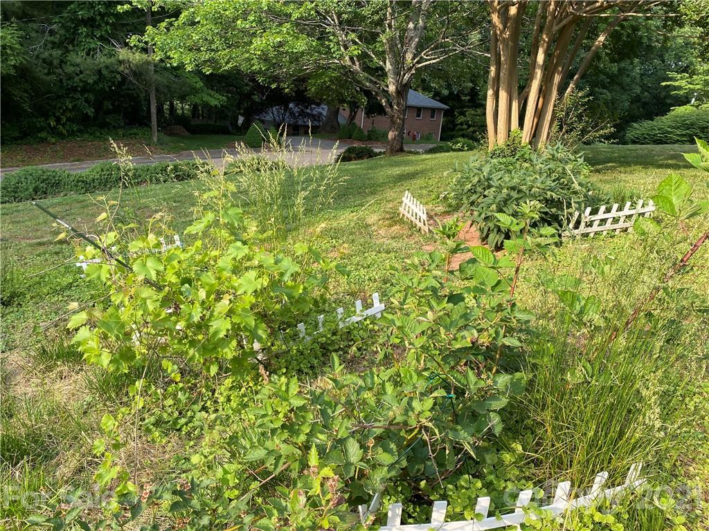 102 Furnifold Street Morganton NC 28655