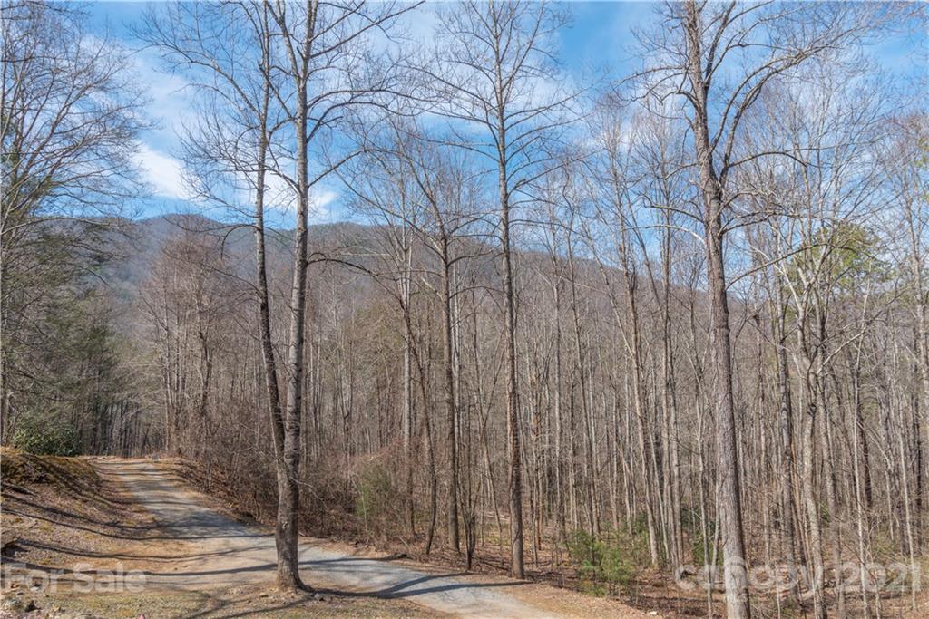 225 Wagon Wheel Way Canton NC 28716