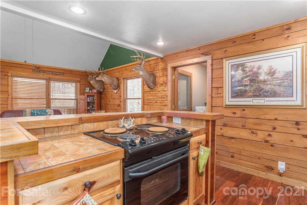 225 Wagon Wheel Way Canton NC 28716