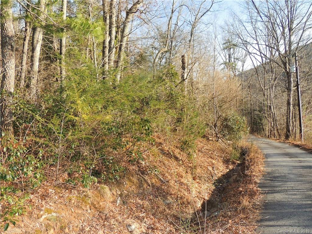 20 Rustling Pine Trail Black Mountain NC 28711