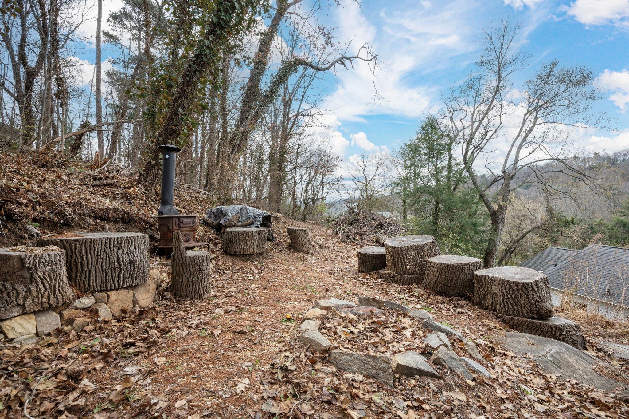 41 Blackstone Avenue Asheville NC 28804